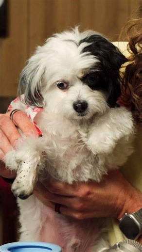 Cleaning Sean's Paws | Best of 2025