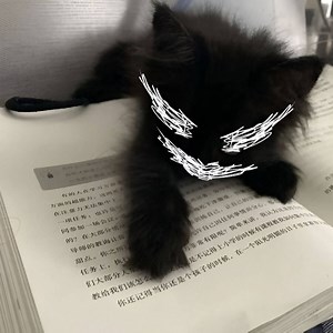 sakebi_exe - Twitch