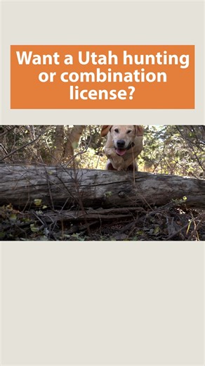 Want to begin your hunting journey? You’ll need to either take a hunter education class or participate in Utah’s Trial Hunting Program. If this is you, don’t wait — sign up for a class today! ✔️ Here’s what you need to know to enroll: bit.ly/4rtDYpE | Utah Division of Wildlife Resources