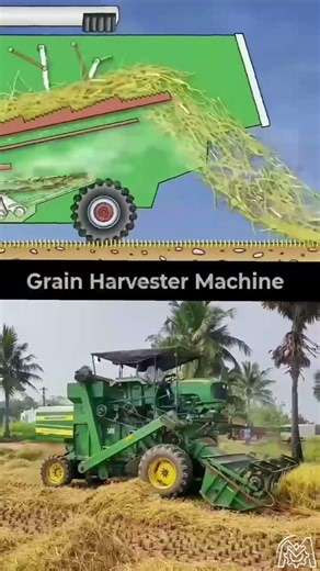 How a Grain Harvester Works! 🌾 (3D vs. Real) #shorts
