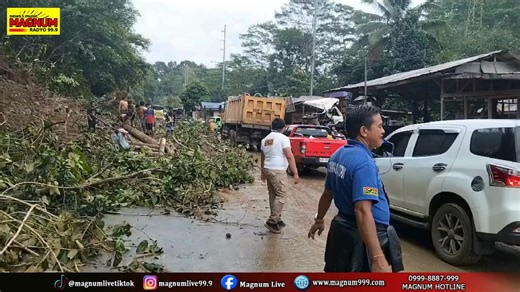 Magnum Live on Reels