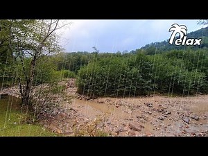 Rain Sound and Relaxing Nature for Sleeping or Meditation