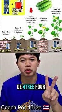 EP.18 Comment utiliser le 4tree avec les plantes de concombre en détail.