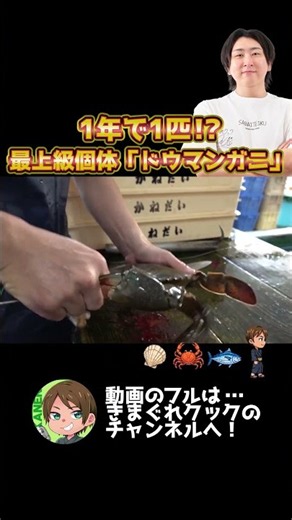 1年で1匹の水揚げ。最上級個体の『ドウマンガニ』の味がヤッベェ