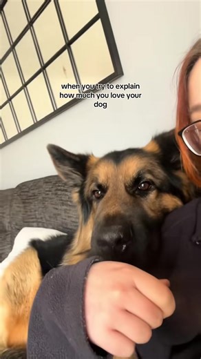 Celebrating the Unconditional Love of a German Shepherd