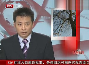 枣树患绝症街坊情难舍 101104 特别关注