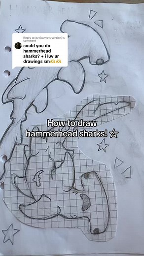 How to Draw Hammerhead Sharks Step by Step Tutorial