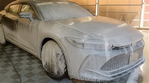 Why a Year-Old Coating Failed on a Crown Crossover: A Jaw-Dropping Transformation!