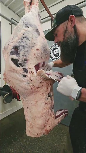 🔥 Beef Hind Quarter Breakdown 🔥 #shorts