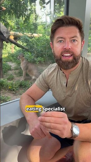Meeting One of the Most Iconic Animals in the World