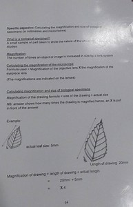 Calculating the Magnification and Size of Biological Specimens ... | Filo