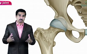 HIP Joint Anatomy Animation Ligaments, Movements, Blood supply, Nerve supply an