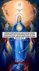 1.8K views · 212 reactions | Then the dragon was angry with the woman, and went off to make war on the rest of her offspring, on those who keep the commandments of God and bear testimony to Jesus. ( Revelation 12:17 ) | Ave Maria | Facebook