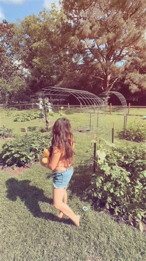 Cheyenne Pickle Wheat on Instagram: "Slowly but surely building the garden of our dreams.勒#cheyennepicklewheat #followthegrain #swamppeople #historychannel #pickle #wheat #livinthedream #roogardening #homegrown"