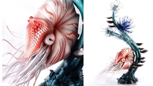 A Beautiful Chambered Nautilus Made Out of Chocolate
