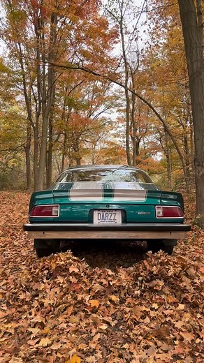 Bad Ass leaf blower 🍂💨💚🩶 #survivor #stickcar #darzz #75camaro #restoredcamaro #cargirl #2ndgenfbody #2ndgenfbodyforlife #2ndgencamaro #motormonday #girlswhowrench #bowtie #canadiangirl #comeback #chevygirl #girlowned #gm #manual #chevrolet #carchic #camarosociety #chevy #bfgoodrich #wickedcamaros #musclecars #v8 #camarocomeback #bowtieordie #chevyonly #carsovereverything | Darlene Wraight