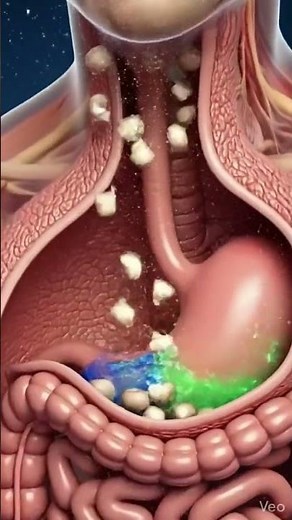 What Happens to Mushrooms Inside Your Body 🍄 #digestiveprocess #humanbody