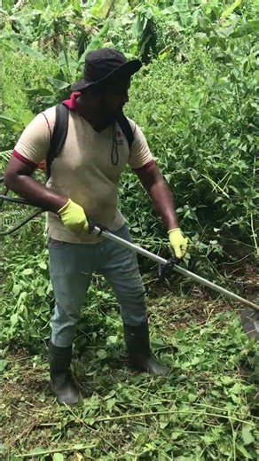 Perfect Grass Cutting | Backpack Brush Cutter in Action 💪