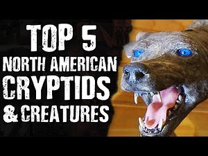 TOP 5 North American CRYPTIDS & CREATURES