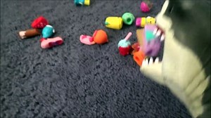 Playing Catch With My Pet Shark 'Shopkins Are His Favorite Snack' Toy Freaks-Idm-jsTDZ0A