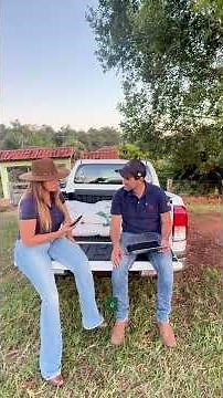 What supplementation to provide for cattle rearing