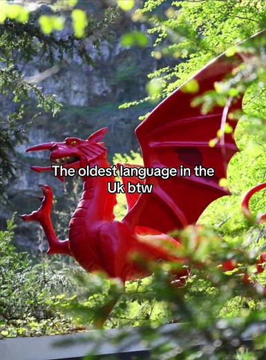 Nigel's Attempt to Ban Welsh Language