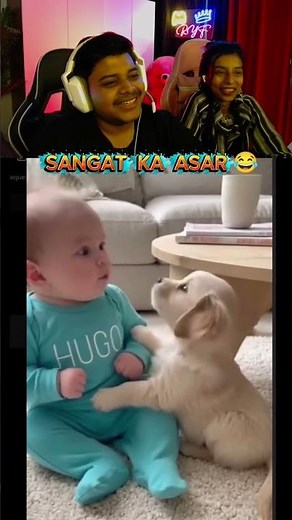 TRY NOT TO LAUGH 😂 PART 185 #comedy #shorts #short #funny #viral