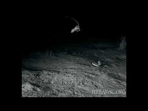 Kangaroo rat mid-air maneuver via tail rotation