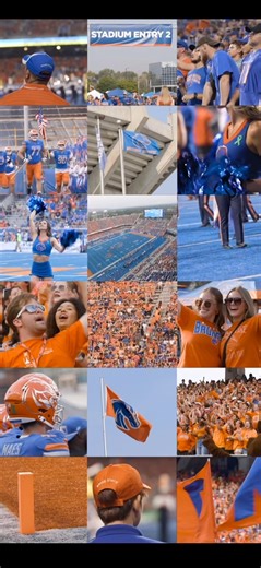 The category is: Bronco Spirit 🔵🟠 🆚 Fresno State 🗓️ November 1 ⏰ 1:30 p.m. MT 📺 FS1 Boise, State Stripe Out #BoiseState #BleedBlue | Boise State University