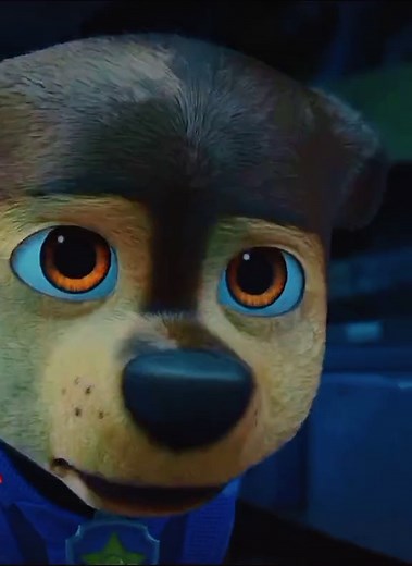 Dibujo de Cheese de Paw Patrol | La Patrulla Canina