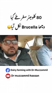 461K views · 7.8K reactions | #veterans #Friesian #Farmers #Farm #Dairyfarming #Australia #buffalo #scientific #Vet #experiment | Dairy Farming with Dr-Muzzammil | Facebook