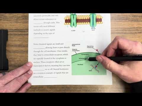 Chemical Signals Across The Cell Membrane Lecture