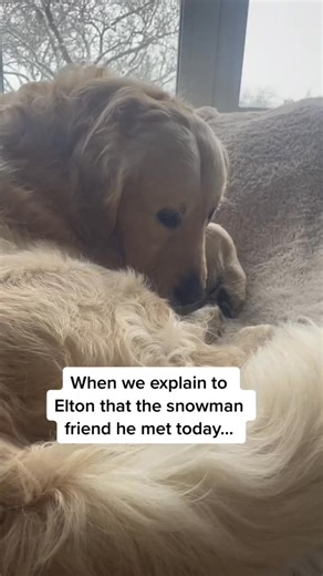 8K views · 139 reactions | Poor Mr Snowman #snow #fyp #snowman #spring #goldenretriever #dogsoftiktok | Elton GoldenRetriever | Facebook