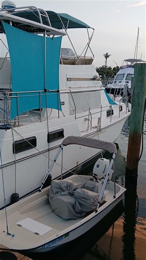 The classic Carver "Wild Thing" and 11' Boston Whaler tender sitting pretty !