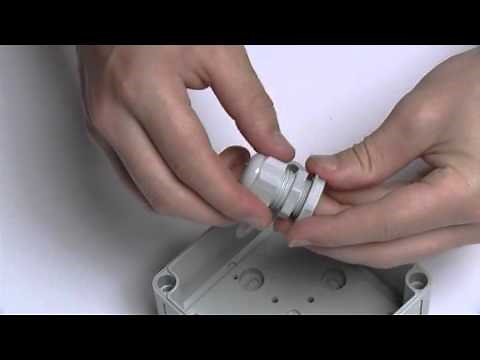 How to make an entrance....