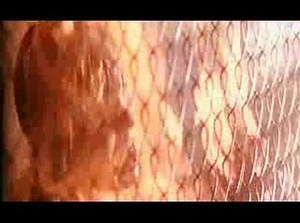 THE SARAH CONNOR DREAM