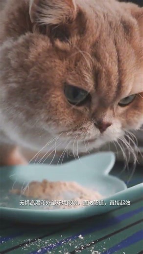 Essential Home Gadget: The Perfect Loo for Runny Poops