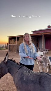 1.9K views · 120 reactions | Let us help you with homestead basics...