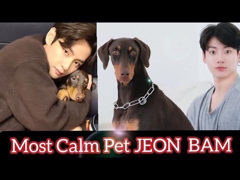 BTS With BAM: Most Calm Dog 🐶🐕🐶