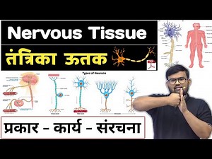 Nervous Tissue - तंत्रिका ऊतक | Nervous Tissue in Hindi | Anatomy and Physiology | Doctor | MBBS