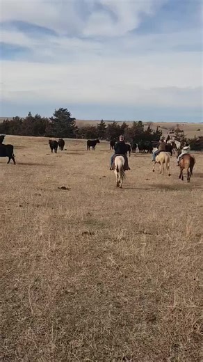 duane honcho (@duanehoncho)’s videos with Theme From Lonesome Dove - Basil Poledouris