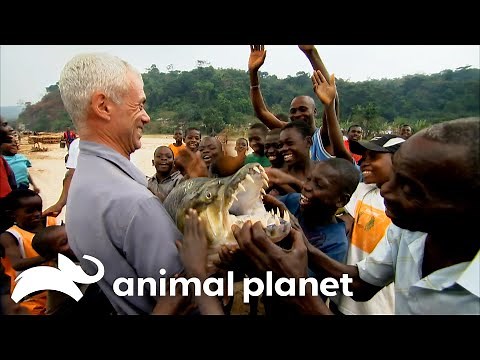 Jeremy Wade Catches The Freakiest Monsters of SEASON 2 | River Monsters | Animal Planet