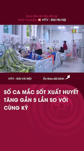Sốt xuất huyết tại Hà Nội tăng gấp 3,8 lần năm 2023