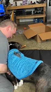 Wanted to give an update on Scotty. He’s doing great! Fully potty trained, does kennel perfect and gets to sleep in bed with me every night. My cat Silver still unsure of him but progress is being made. | Kings Harvest Pet Rescue No Kill Shelter 563 386 3117