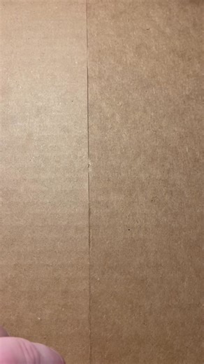 Next level EEK when we peek into the new logo cookies & Java birthday cookies made by Mane Delights🥰🥰🌈 | Soul Touch Photography