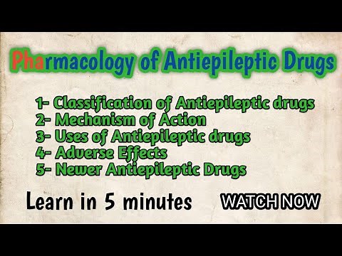 Pharmacology of Antiepileptic Drugs l Mechanism of Action l Classification l Newer Antiepileptics