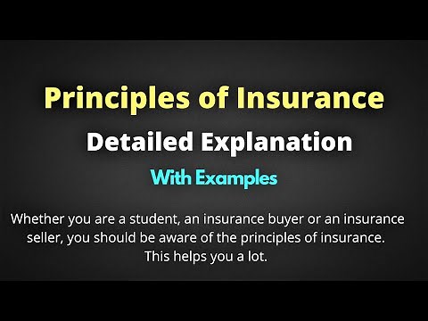 Principles of Insurance Explained in English | What are the Principles of Insurance