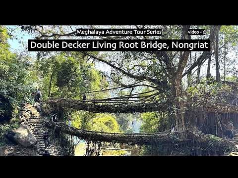 Double Decker Living Root Bridge - Meghalaya’s Living Wonder!