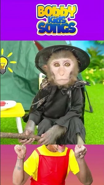 Funny monkey videos #funny #fun #monkeyfunny #funnyvideos #babyfunny
