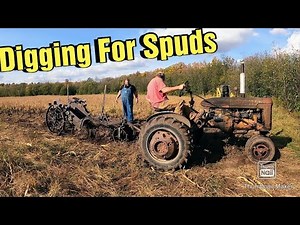 Topping off the Silo with Corn Silage/Digging Potatoes with Antique Potato Digger/Moving Dairy Cows